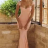 Antonella Pfirsichfarbenes Maxikleid mit Mesh-Silhouette Antonella Pfirsichfarbenes Maxikleid mit Mesh-Silhouette