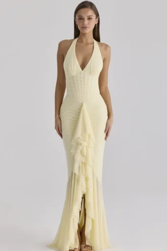 Carmine Lemon Mesh Silhouette Maxikleid