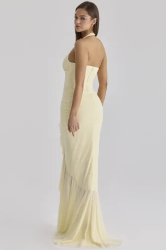 Carmine Lemon Mesh Silhouette Maxikleid