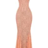 Cordelia Sorbet Lace Godet Maxikleid