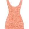 Faena Sorbet Plunge Mini-Kleid mit Blumenapplikationen Faena Sorbet Plunge Mini-Kleid mit Blumenapplikationen