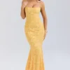 Joan Apricot Maxikleid mit Schnürung am Rücken Joan Apricot Maxikleid mit Schnürung am Rücken