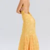 Joan Apricot Maxikleid mit Schnürung am Rücken Joan Apricot Maxikleid mit Schnürung am Rücken
